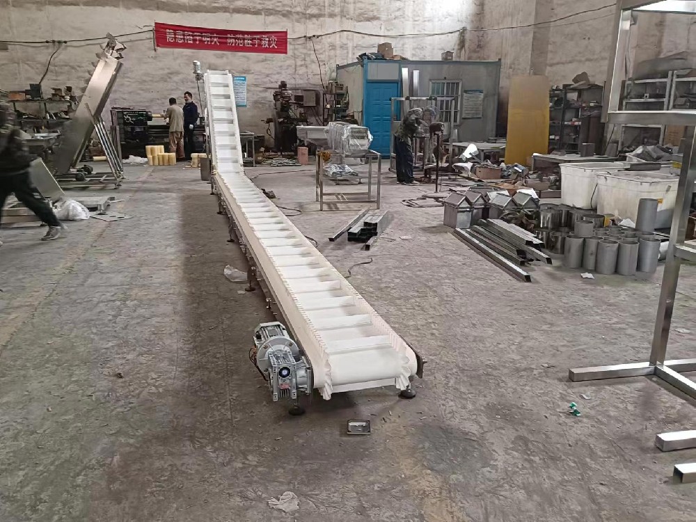 新余Z型裙邊皮帶輸送機